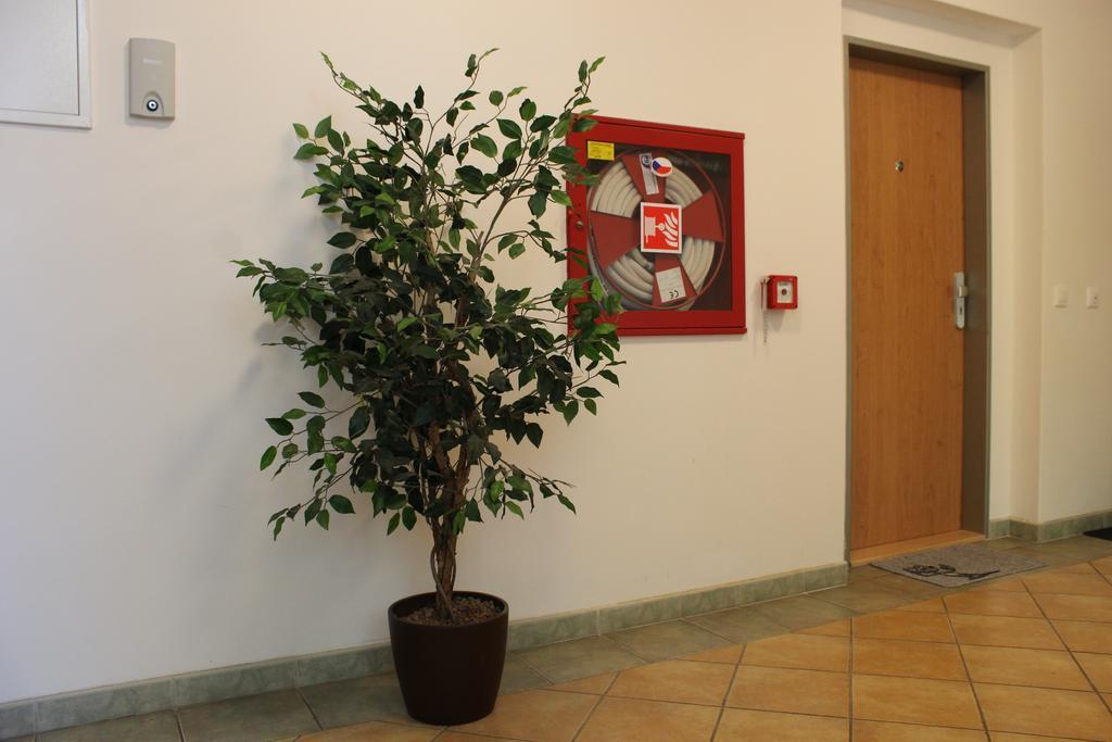 Apartment Promenada Poděbrady Exteriér fotografie